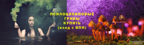 первитин Белокуриха