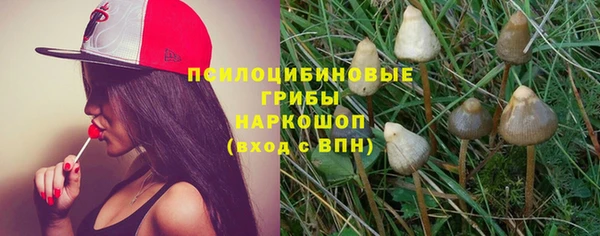крисы Беломорск