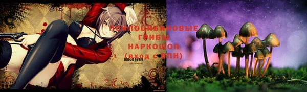 первитин Белокуриха