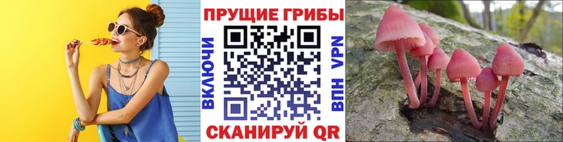 Галлюциногенные грибы прущие грибы закладка Волжск